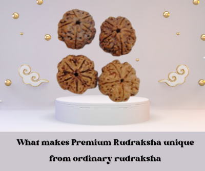 What makes Premium Rudraksha unique from ordinary rudraksha